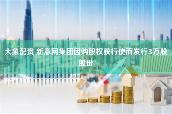 大象配资 新意网集团因购股权获行使而发行3万股股份