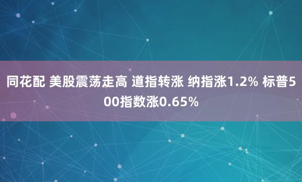 同花配 美股震荡走高 道指转涨 纳指涨1.2% 标普500指数涨0.65%