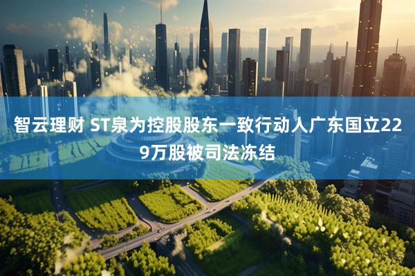 智云理财 ST泉为控股股东一致行动人广东国立229万股被司法冻结