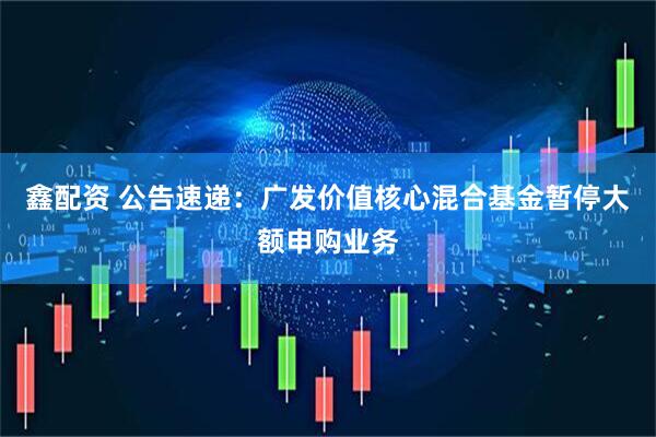 鑫配资 公告速递：广发价值核心混合基金暂停大额申购业务